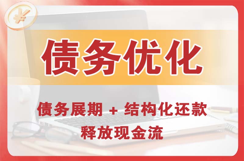 潼南债务优化